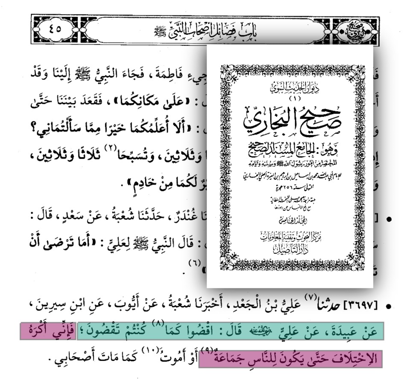 Description image 2