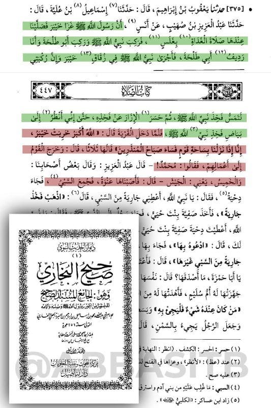 يتبع..⬇️⬇️⬇️