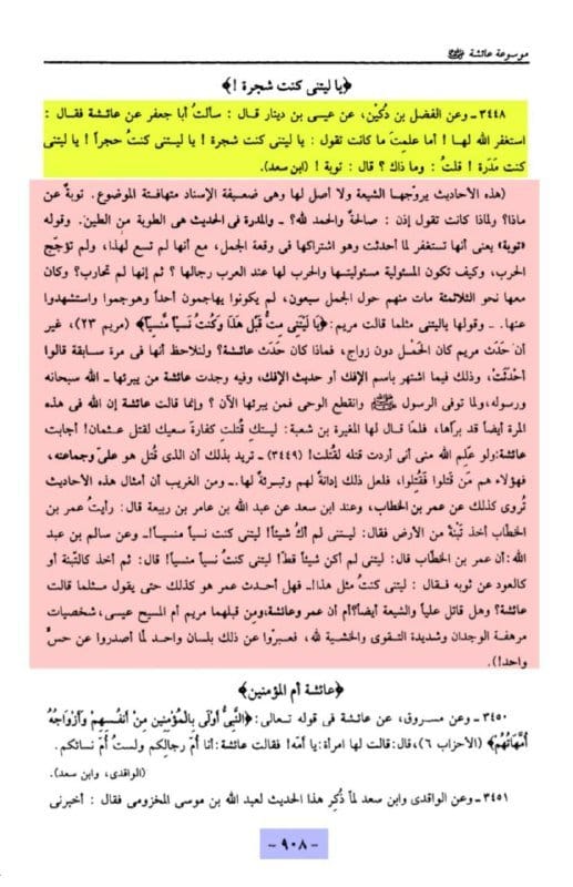 صورة من التغريدة