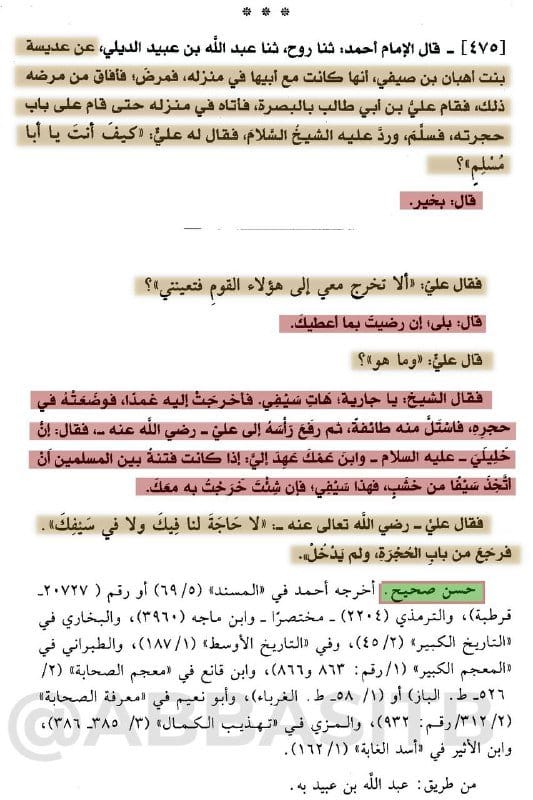 في رحلة علي بن أبي طالب للبحث عن "صحابة" يشاركونه في معركة صفين ضد معاوية والمسلمين من أهل الشام،