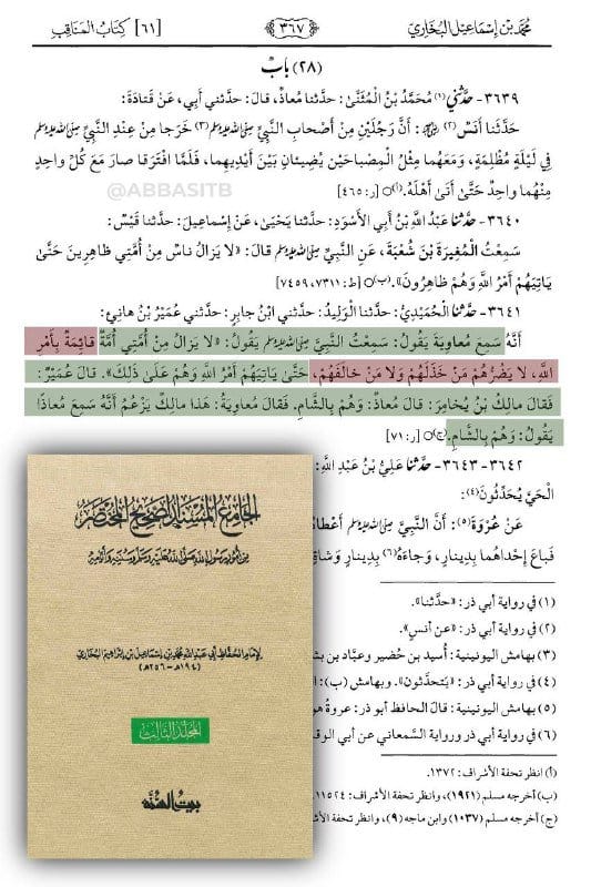 معاوية بن أبي سفيان يستشهد بحديث نبوي لا غبار عليه يدل على صحة موقفه وهو قوله صلى الله عليه وسلم:...