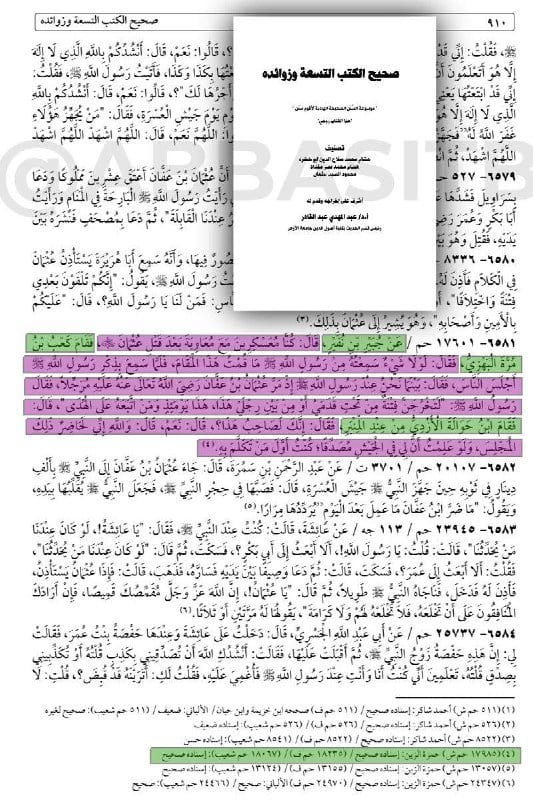 [ 3 من الصحابة الكرام يشهدون أن الحق مع معاوية بن أبي سفيان، مستشهدين بحديث صحيح للنبي صلى الله...
