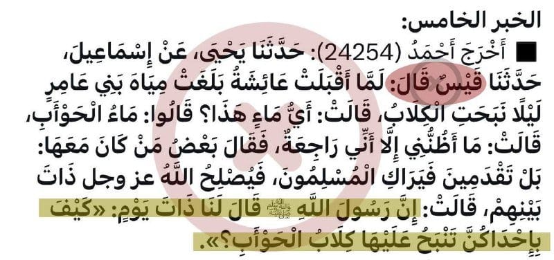 صورة من التغريدة