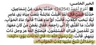 ( الرواية السادسة ) :