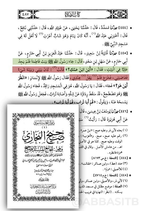 صورة من التغريدة