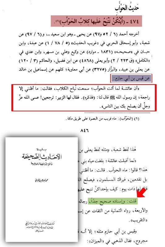 صورة من التغريدة