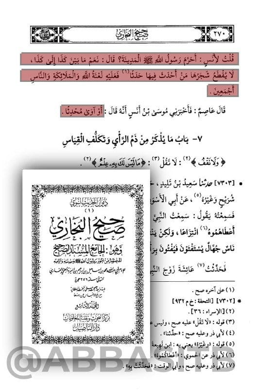 صورة من التغريدة