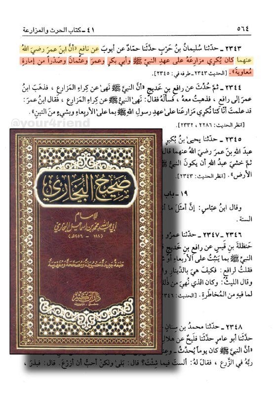 [ اثبات عدم بيعة عبدالله ابن عمر رضي الله عنهما من صحيح البخاري ]