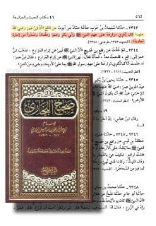 كيف قام محفل الكوفة السبئي بسرقة مصطلح (الفئة الباغية)؟..