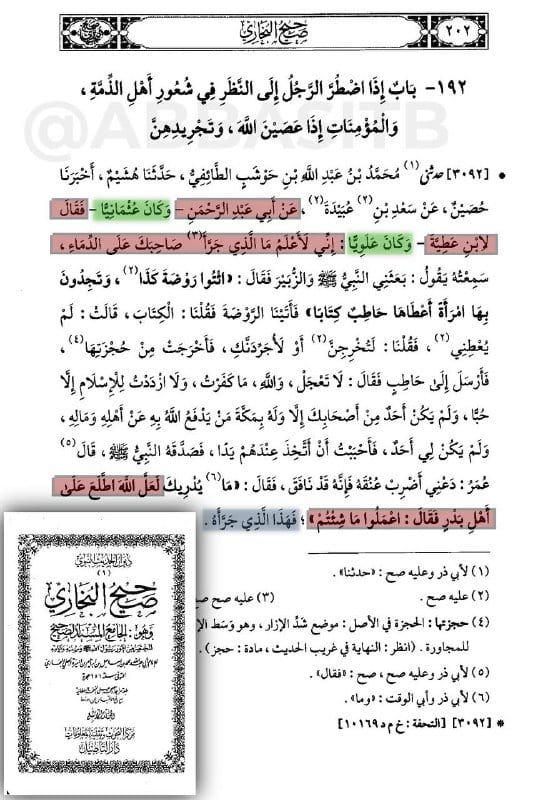 صورة من التغريدة