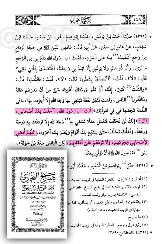 صورة من التغريدة