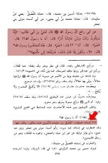[ إمام الحنابلة السفاريني المتشيع المتوفي سنة: 1188هـ يكفّر أمير المؤمنين يزيد بن معاوية رحمه الله...