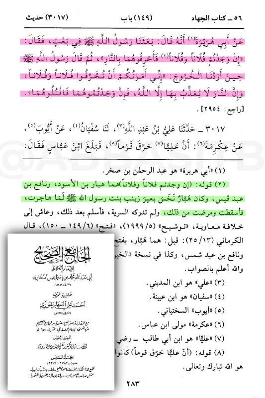 صورة من التغريدة