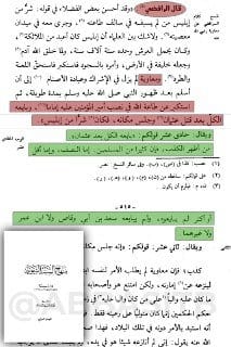 هناك شيخ اسمه الشهرستاني زعم أن علي بن أبي طالب تم "الاتفاق" على بيعته!