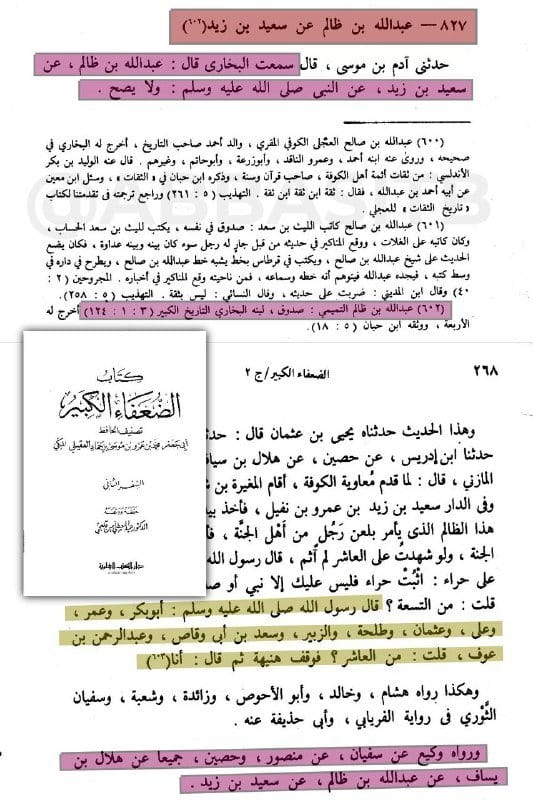 صورة من التغريدة