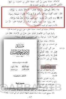 الباشا الألباني زعلان من شيخ الإسلام ابن تيمية لأنه ضعّف حديث الرافضة "غدير خم": (من كنت مولاه فهذا...