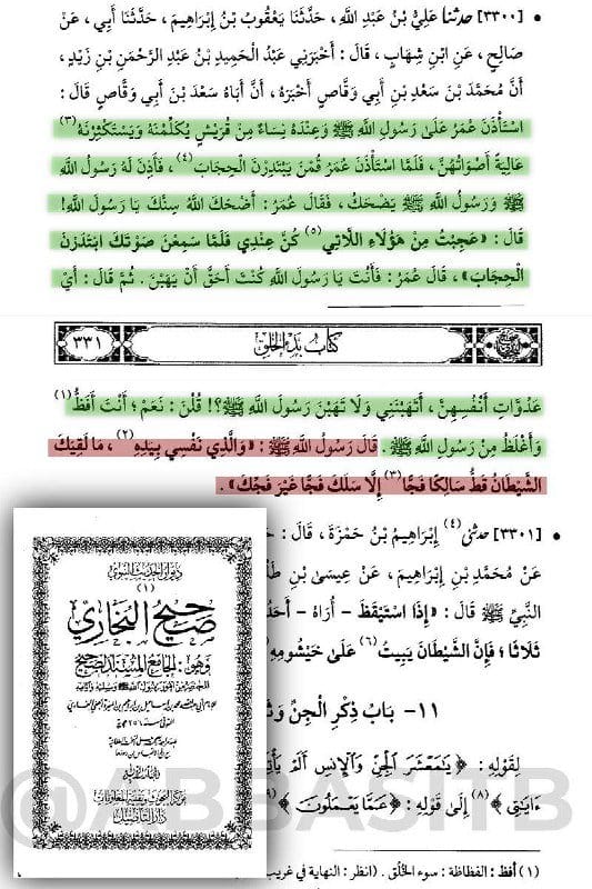 استأذن عمر على رسول الله صلى الله عليه وسلم وعنده نساء من قريش يسألونه ويتكلمون معه،