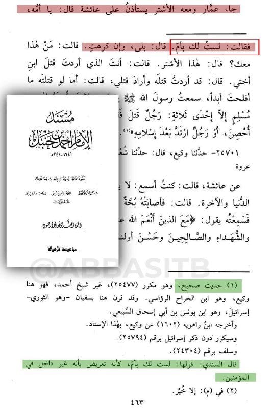 [ أم المؤمنين عائشة تُخرج العاق عمار بن ياسر من مسمى الإيمان ] :