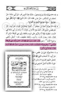 [ إسلام الزبير بن العوام رضي الله عنه ] :