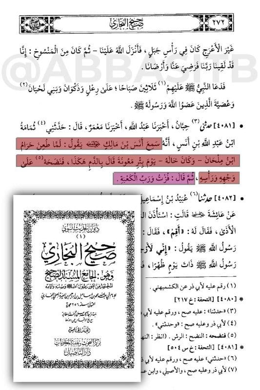 صورة من التغريدة