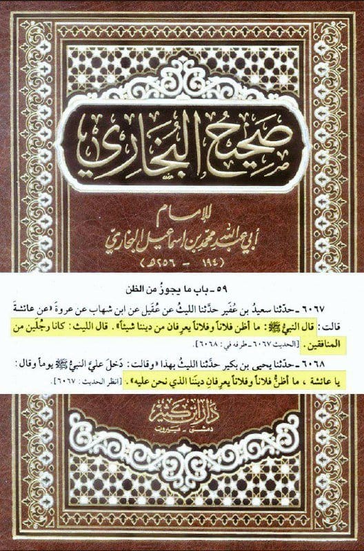 يُشكل علينا العباسي ربطنا رواية عقيل عن الزهري عن عروة عن أمنا (ع) التي فيها قول النبي ﷺ :ما أظن...
