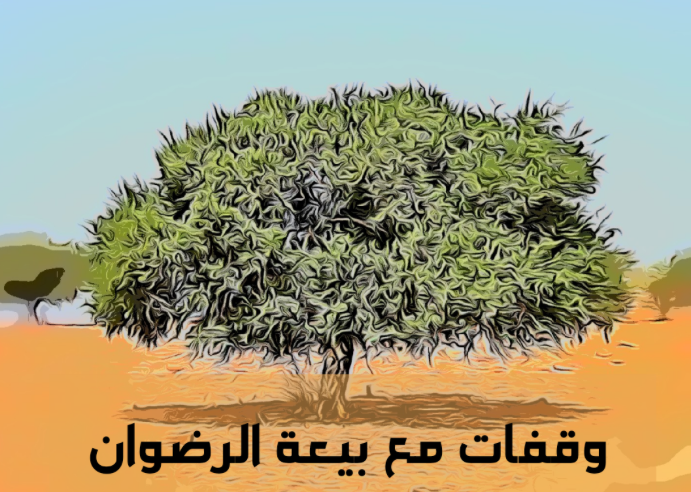 بيعة الرضوان وعثمان بن عفّان