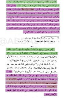 [ شيخ الإسلام ابن تيمية يتألق ويجلد العباسيين والروافض، فيقول ] :