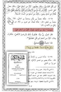 ابن تيمية يرد على مزاعم الرافضي أن علي أسلم وهو صبي فهو أفضل من غيره: