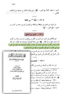 هذا المنافق الشيعي (ابن الحمق)