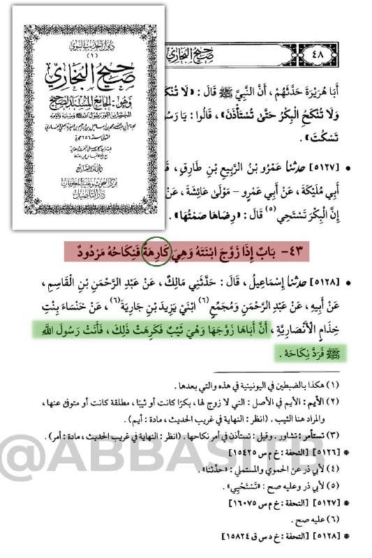 هناك قشّة صغيرة تعلَّق بها كهنة المعبد العباسي كعادتهم في التصيُّد بالألفاظ والتشغيب والتهريج...