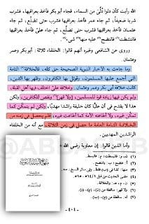 [ شيخ الإسلام ابن تيمية : الرافضي أمام الناصبي بمنزلة المخنث ] :