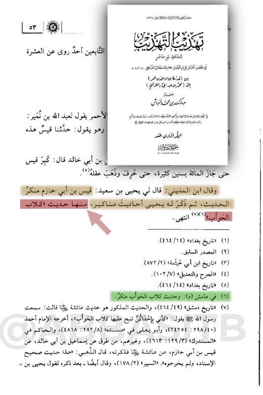 حديث (كلاب الحوأب) الذي استدل به الألباني الضال،