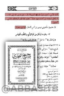 [ جيش علي بن أبي طالب هو جيش ملعونٌ على لسان رسول الله صلى الله عليه وسلم ] :-