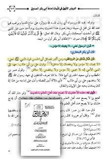 يشير ابن تيمية هنا إلى شذوذ متن حديث علي: لا يحبني.. ويلمّح إلى أنه مسروق من حديث الأنصار.