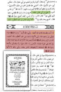 البخاري ومسلم