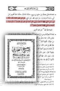 الخطأ الأول لعلي بن أبي طالب: