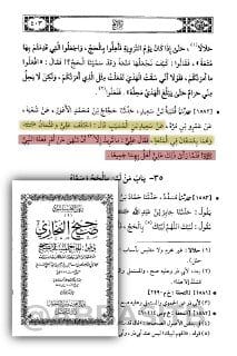 السؤال هنا: هل فعلاً قام عثمان ذي النورين -رضي الله عنه- ببدعة أو مخالفة للسنة كما اتهمه علي؟
